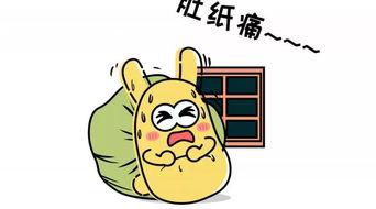 吃瓜群众的快乐,吃瓜群众的快乐盛宴